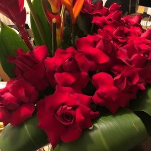 Meet your Posher, Minerva